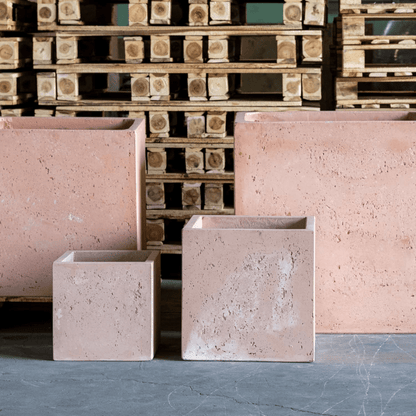 Elevate Your Space: Cubrosa Blushstone 55cm XL Concrete Planter with 115L Capacity - plants - express.com