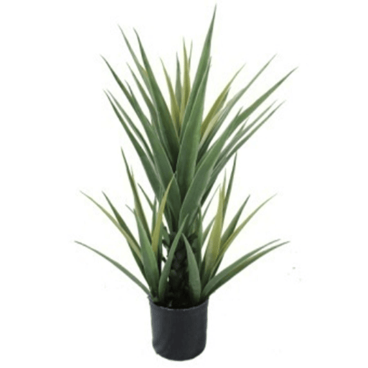 Elevate Your Space with 70cm Realistic Artificial Yucca Plant - plants - express.com