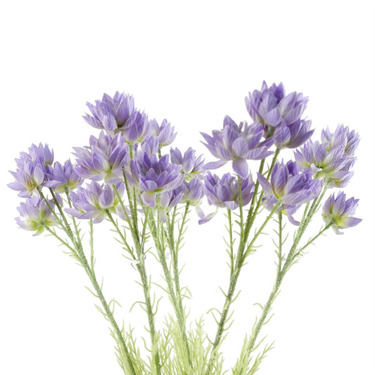 Enchanting 6 - Pack Purple Starflower Stems - Ideal for Stunning Arrangements! - plants - express.com