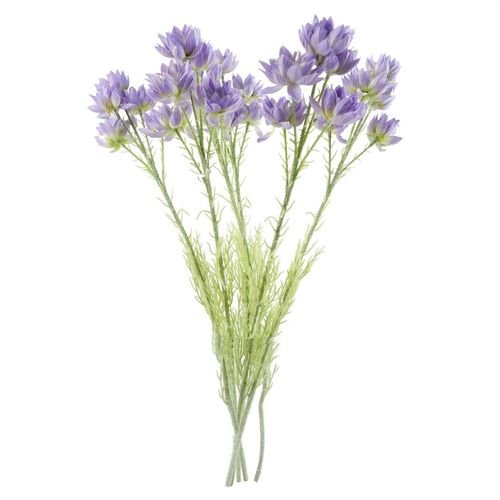 Enchanting 6 - Pack Purple Starflower Stems - Ideal for Stunning Arrangements! - plants - express.com