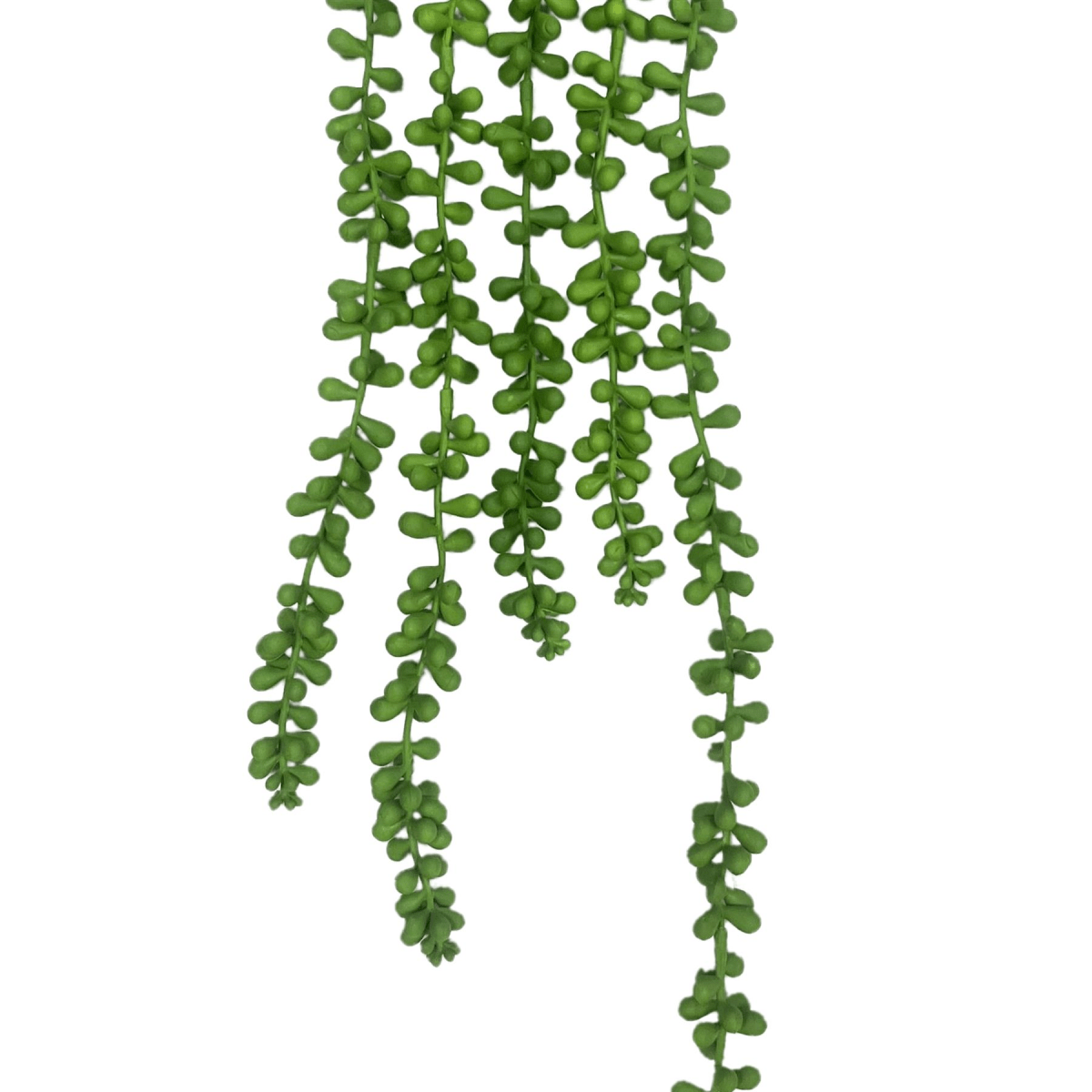 Evergreen 70cm Hanging Pearls: Effortless Décor for a Lush Home Vibe! - plants - express.com