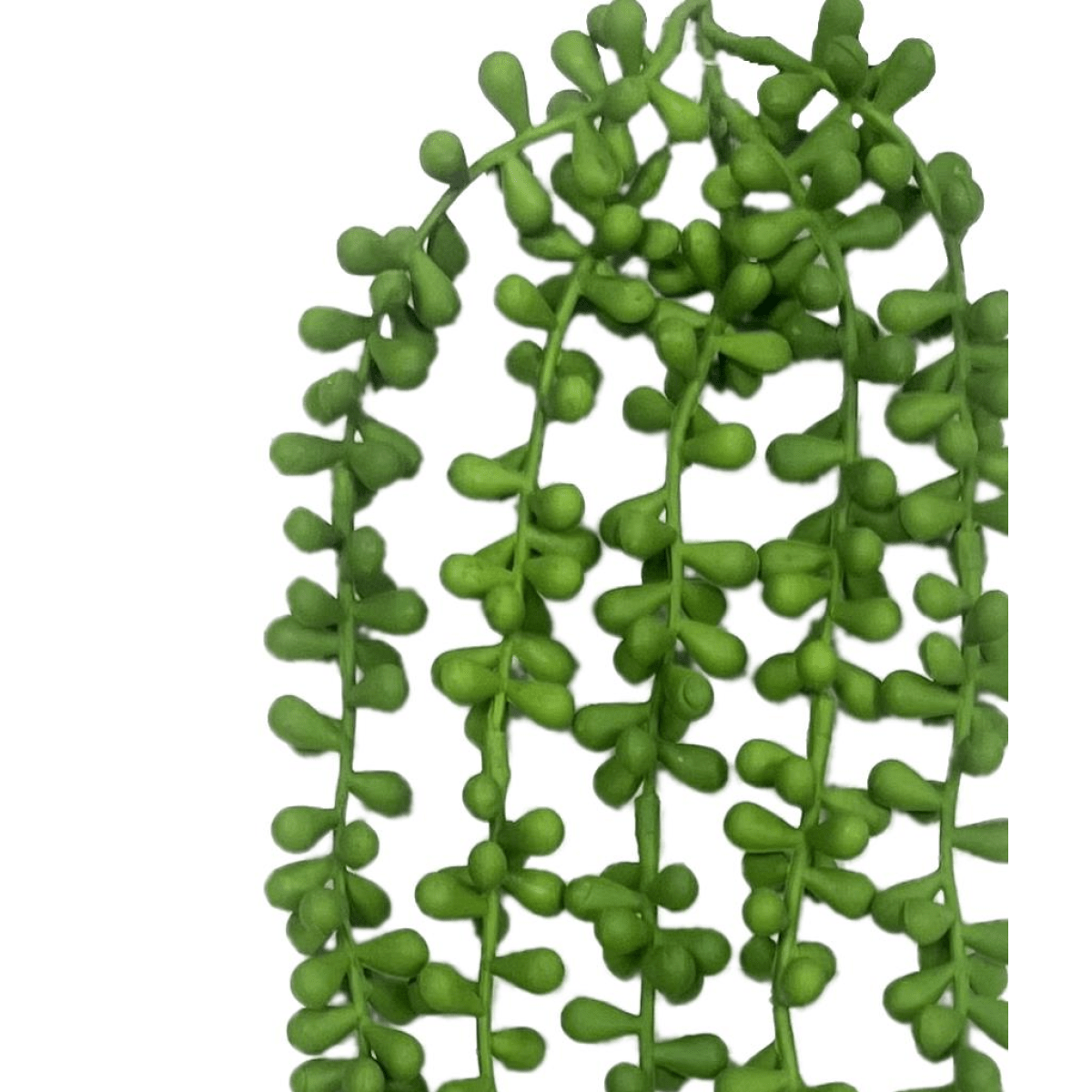 Evergreen 70cm Hanging Pearls: Effortless Décor for a Lush Home Vibe! - plants - express.com