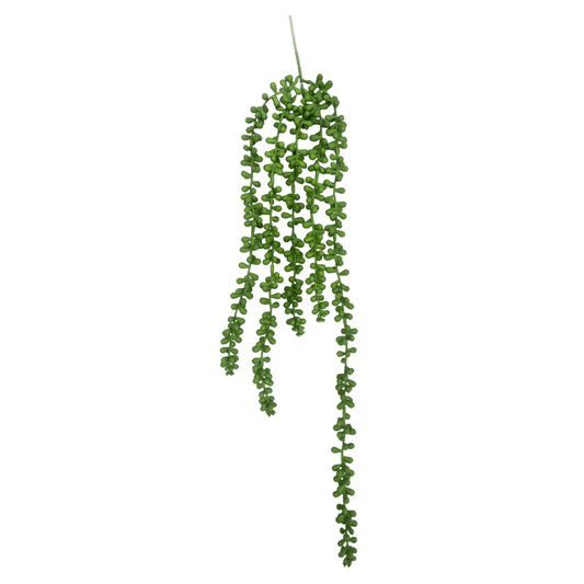 Evergreen 70cm Hanging Pearls: Effortless Décor for a Lush Home Vibe! - plants - express.com