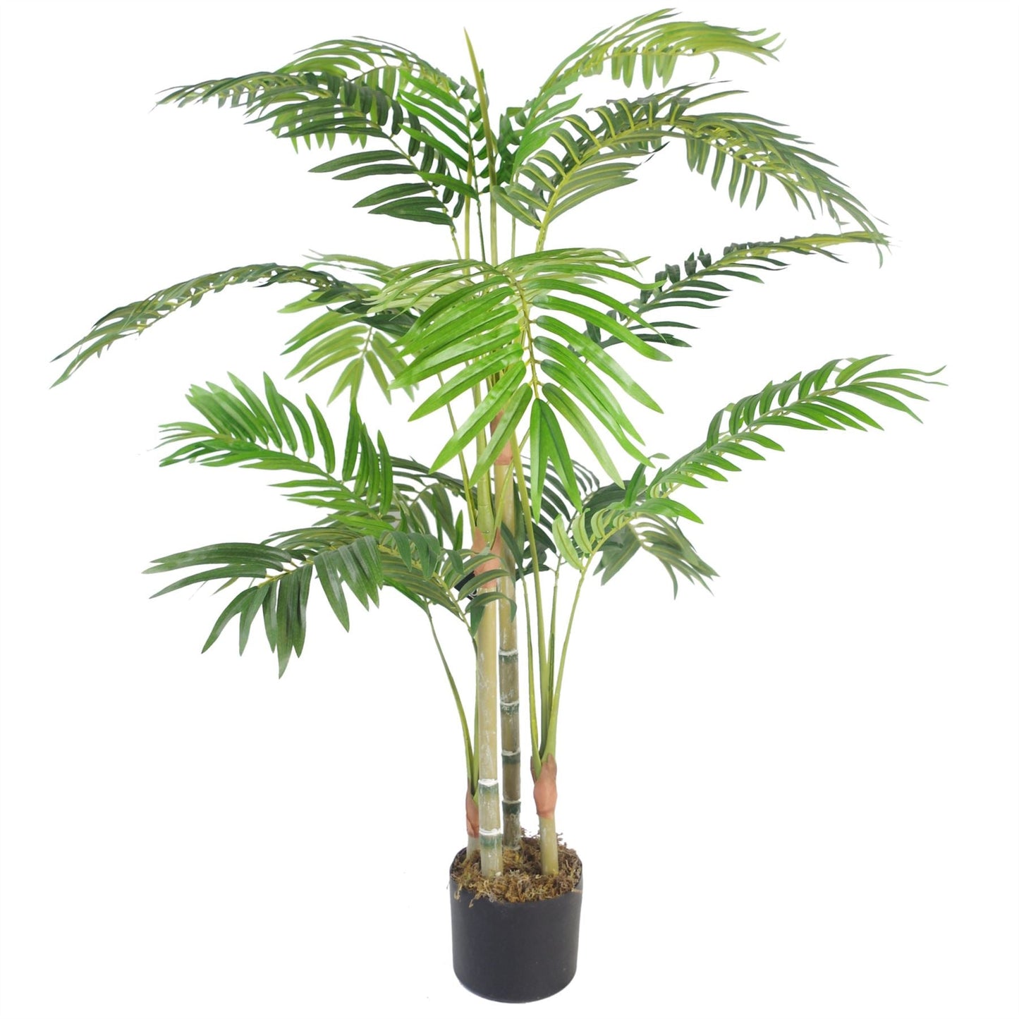 Exotic Large Tropical Plants: Lifelike Artificial Trees for Home & Office - plants - express.com