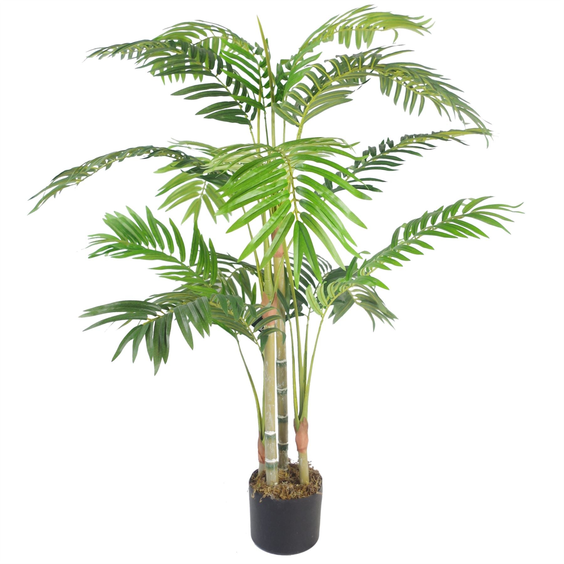 Exotic Large Tropical Plants: Lifelike Artificial Trees for Home & Office - plants - express.com