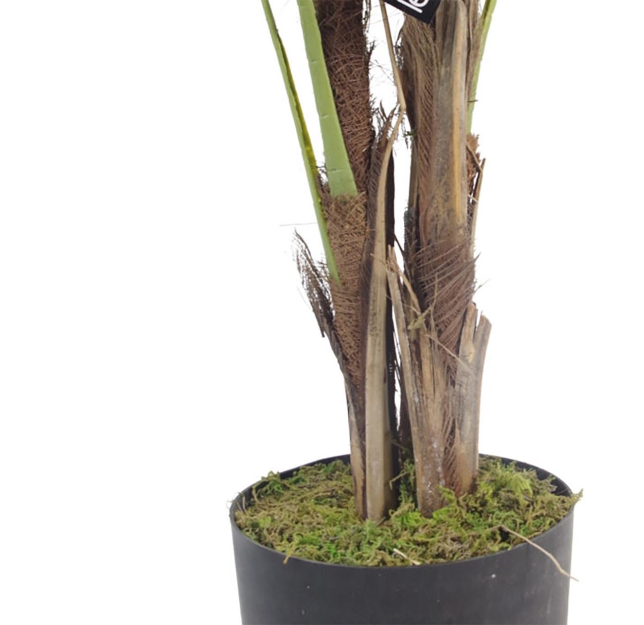Exotic Large Tropical Plants: Lifelike Artificial Trees for Home & Office - plants - express.com
