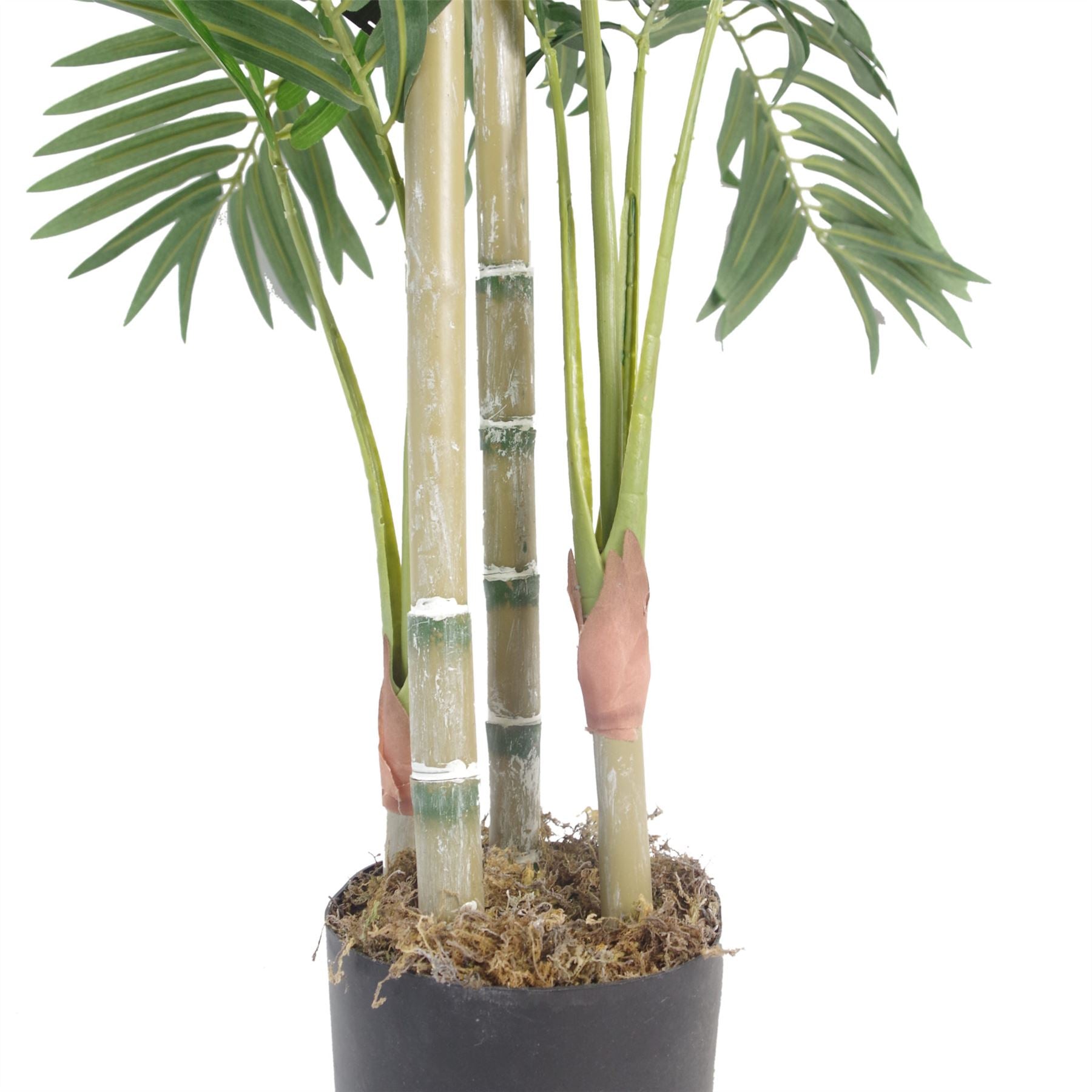 Exotic Large Tropical Plants: Lifelike Artificial Trees for Home & Office - plants - express.com