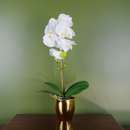 Exquisite 46cm White & Gold Artificial Orchid with Real Touch Leaves - plants - express.com