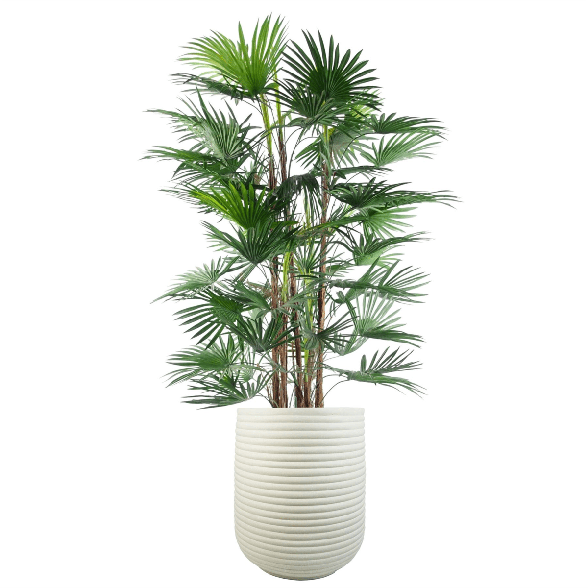Extra Large Mikos Ridged Composite Planter - Rustic Stone Finish, 46x40cm - plants - express.com