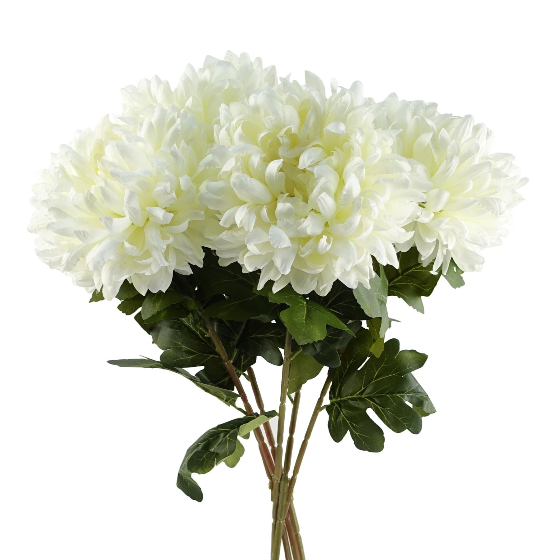 Extra Large Silk White Reflex Chrysanthemums - Pack of 6 Stems, 75cm - plants - express.com