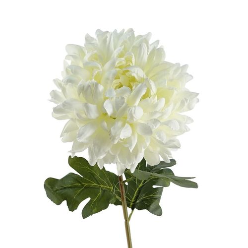 Extra Large Silk White Reflex Chrysanthemums - Pack of 6 Stems, 75cm - plants - express.com