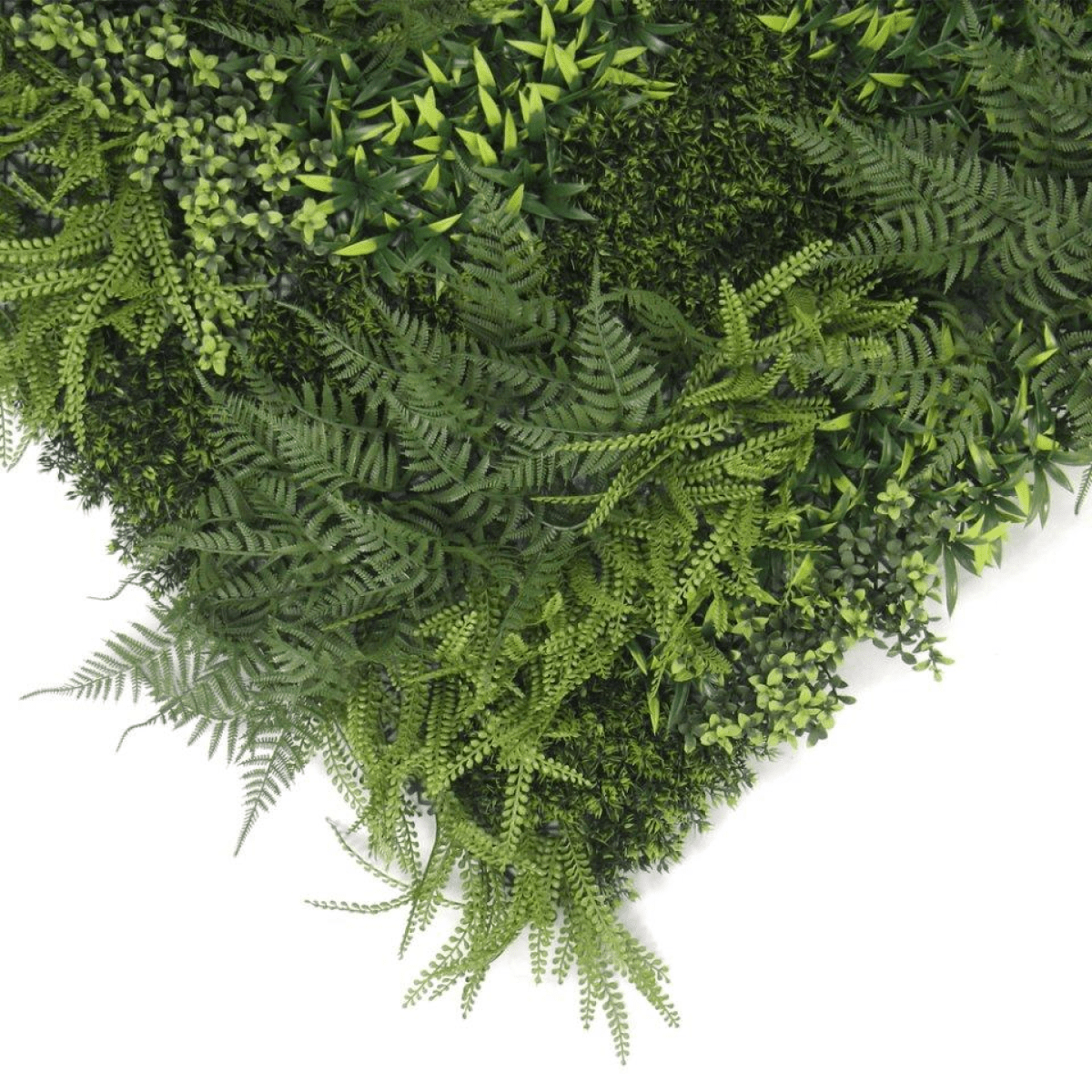Fire - Resistant 100cm Green Wall Panel – Lush, Stylish, Maintenance - Free! - plants - express.com
