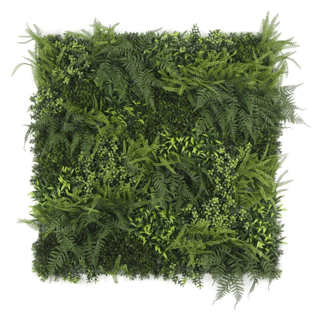 Fire - Resistant 100cm Green Wall Panel – Lush, Stylish, Maintenance - Free! - plants - express.com