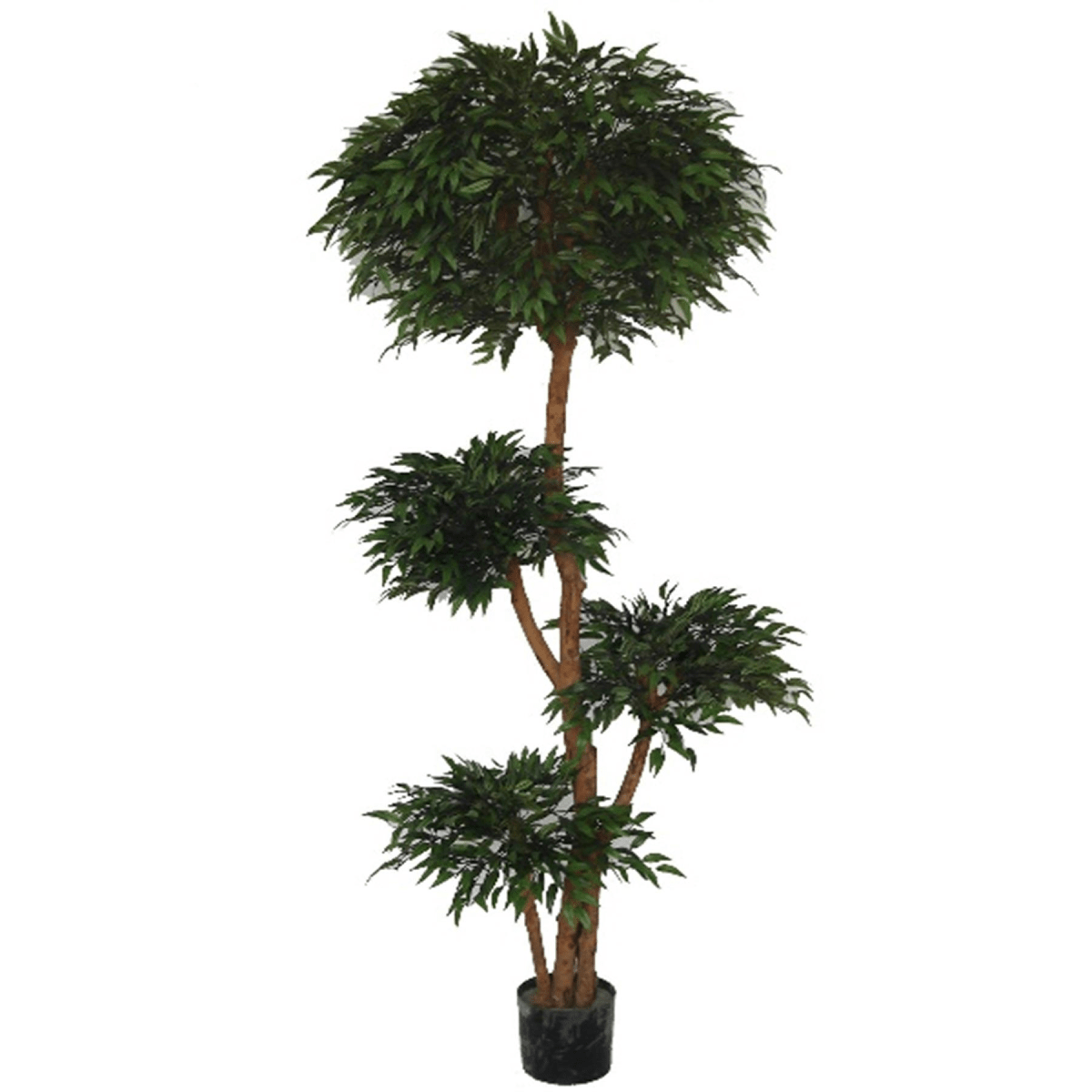 Fire Retardant 180cm Ruscus Tree - 4173 Lush Leaves for Safe Beauty - plants - express.com