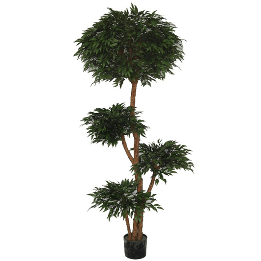 Fire Retardant 180cm Ruscus Tree - 4173 Lush Leaves for Safe Beauty - plants - express.com