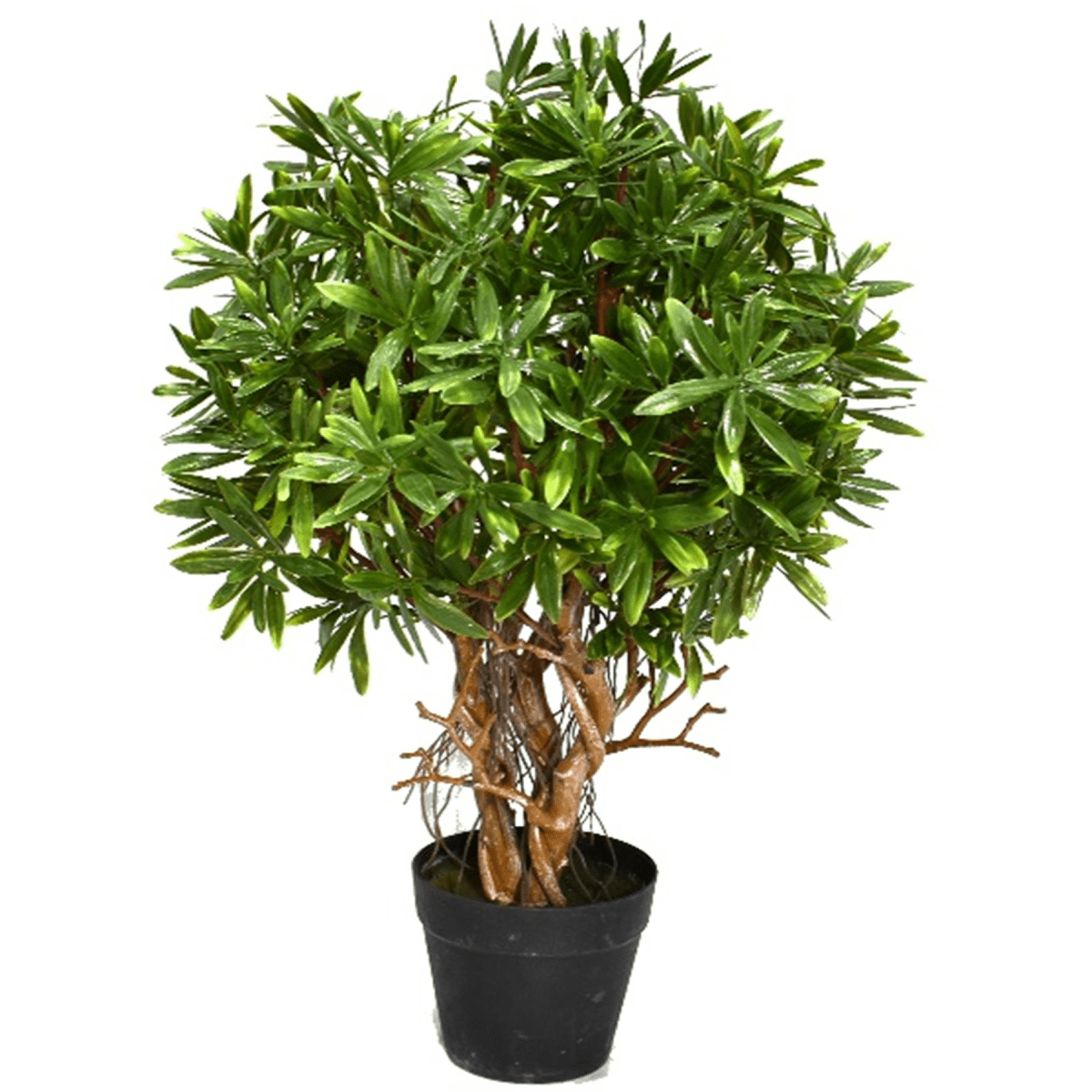 Fire Retardant 45cm Mini Ficus Topiary Ball - Effortless Greenery Solution! - plants - express.com