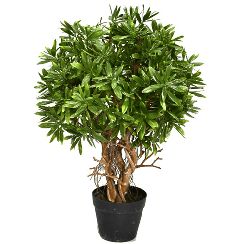 Fire Retardant 45cm Mini Ficus Topiary Ball - Effortless Greenery Solution! - plants - express.com