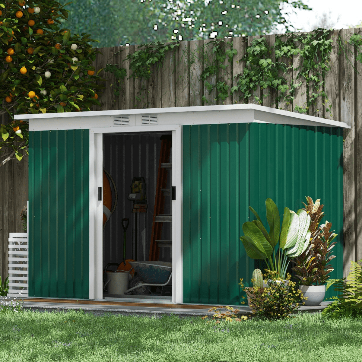 Garden Shed - plants - express.com