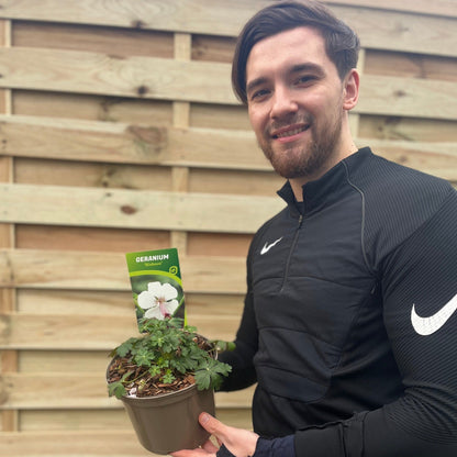 Geranium Biokovo Cranesbill - Delicate Pink Blooms, 9cm/2L Pot - plants - express.com