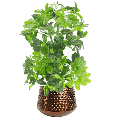 Handcrafted Antique Copper Planter - Unique 18cm Rustic Elegance - plants - express.com