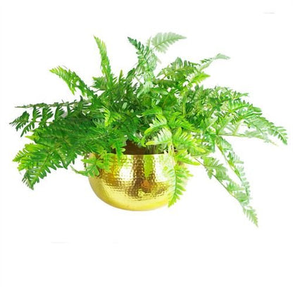 Handcrafted XL Hammered Gold Metal Bowl Planter - Rustic Elegance for Indoors - plants - express.com