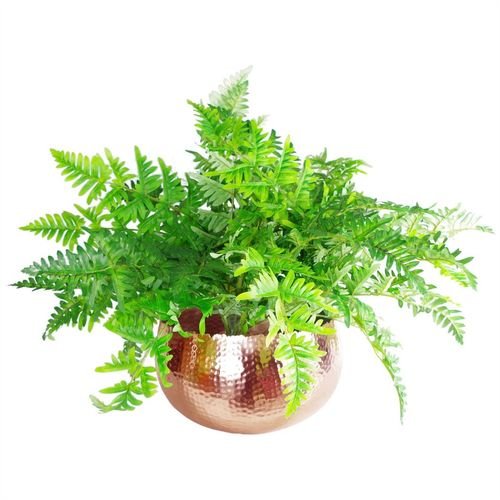 Handmade XL Hammered Copper Metal Planter - Curvy Edge Elegance - plants - express.com