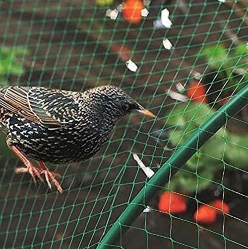 Heavy Duty Garden Netting – Ultimate Protection for Veggies & Climbing Plants - plants - express.com