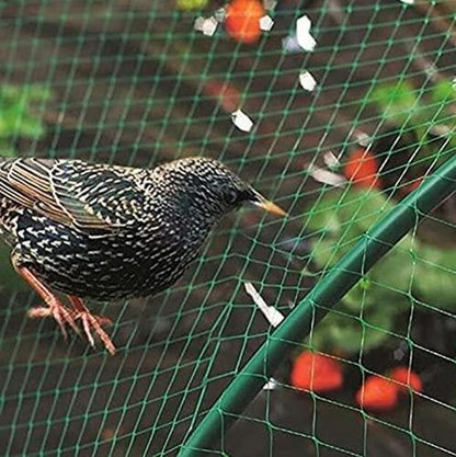 Heavy Duty Garden Netting – Ultimate Protection for Veggies & Climbing Plants - plants - express.com