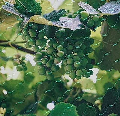 Heavy Duty Garden Netting – Ultimate Protection for Veggies & Climbing Plants - plants - express.com