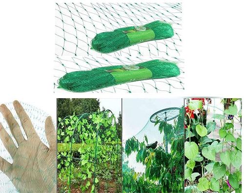 Heavy Duty Garden Netting – Ultimate Protection for Veggies & Climbing Plants - plants - express.com