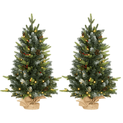 HOMCOM 2 Pieces 2' Prelit Artificial Tabletop Christmas Trees, LED Display - plants - express.com