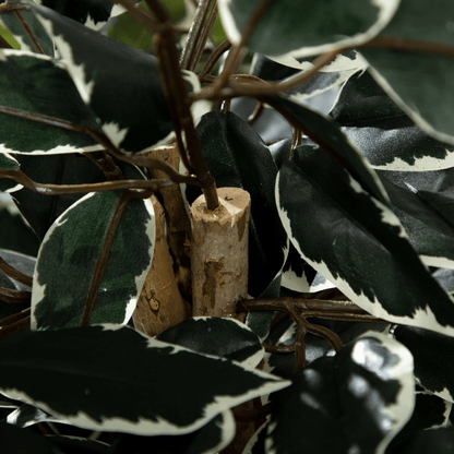 HOMCOM Artificial Ficus Tree with Lifelike Leaves and Natural Trunks Green - plants - express.com