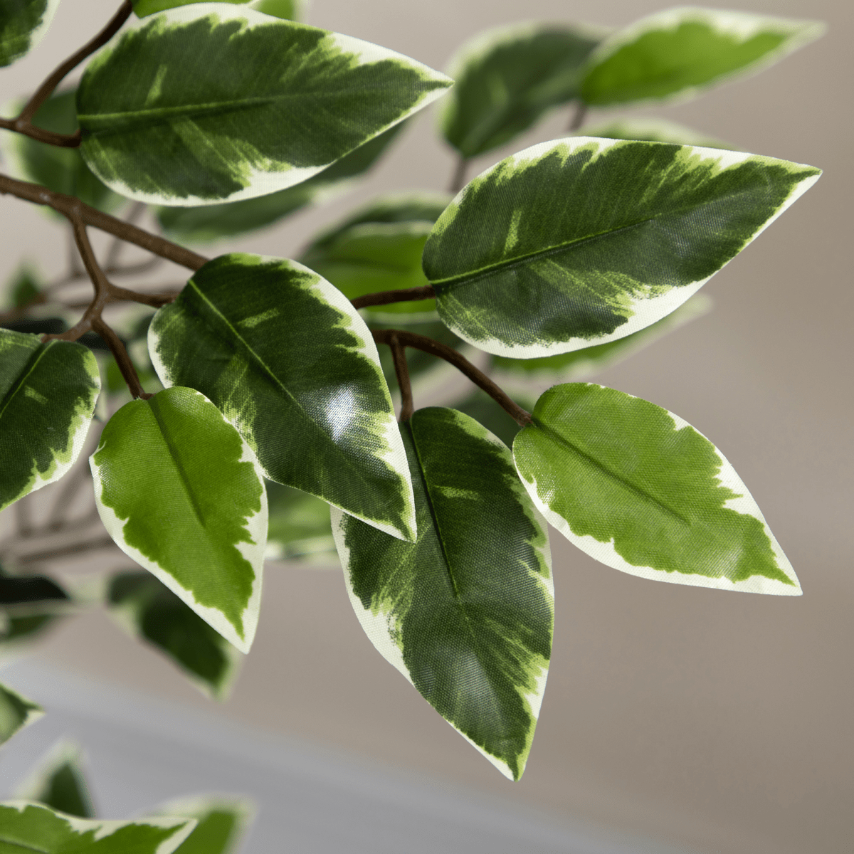 HOMCOM Artificial Ficus Tree with Lifelike Leaves and Natural Trunks Green - plants - express.com