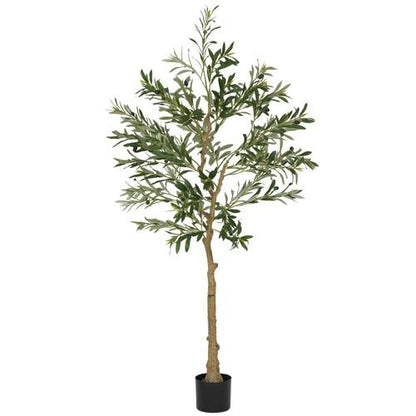HOMCOM Lifelike Silk Olive Tree - Stunning Indoor Faux Plant, 150cm - plants - express.com