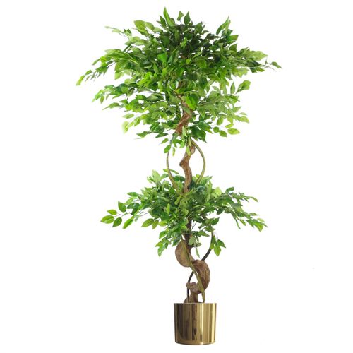 150cm Artificial Japanese Fruticosa Ficus Tree with Gold Planter – Twisted Trunk Design