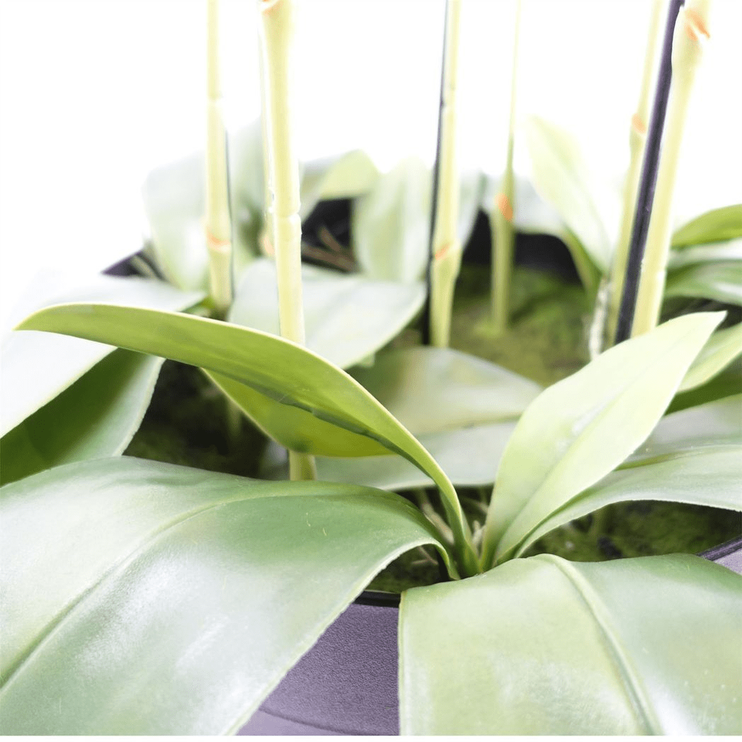 Impressive 110cm Artificial White Orchid - 41 Real Touch Flowers for Elegance - plants - express.com