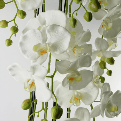 Impressive 110cm Artificial White Orchid - 41 Real Touch Flowers for Elegance - plants - express.com