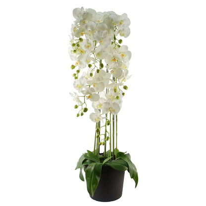 Impressive 110cm Artificial White Orchid - 41 Real Touch Flowers for Elegance - plants - express.com