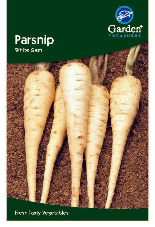 Ivory Sweet Parsnip Seeds – Grow Delicious Winter Roots at Home! - plants - express.com