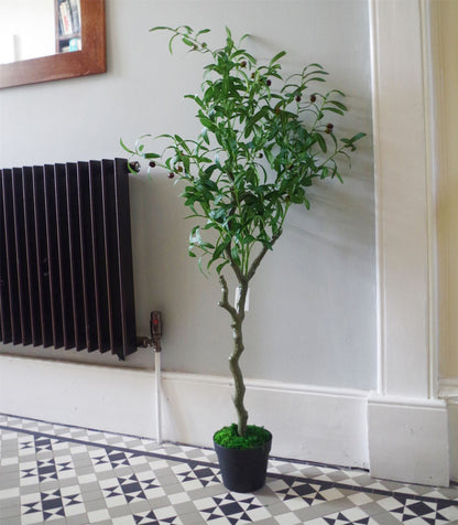 Lifelike 120cm Olive Tree - Natural Look with Adjustable Branches & Pot - plants - express.com