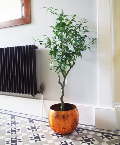 Lifelike 120cm Olive Tree - Natural Look with Adjustable Branches & Pot - plants - express.com