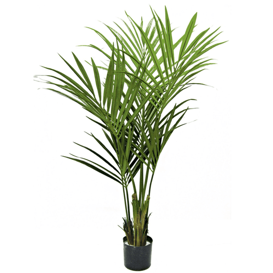 Lifelike 150cm Kentia Palm Tree - Effortless Tropical Elegance for Any Space! - plants - express.com