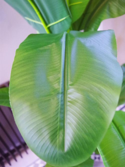 Lifelike 180cm Artificial Banana Tree - Perfect for Tropical Home Decor! - plants - express.com