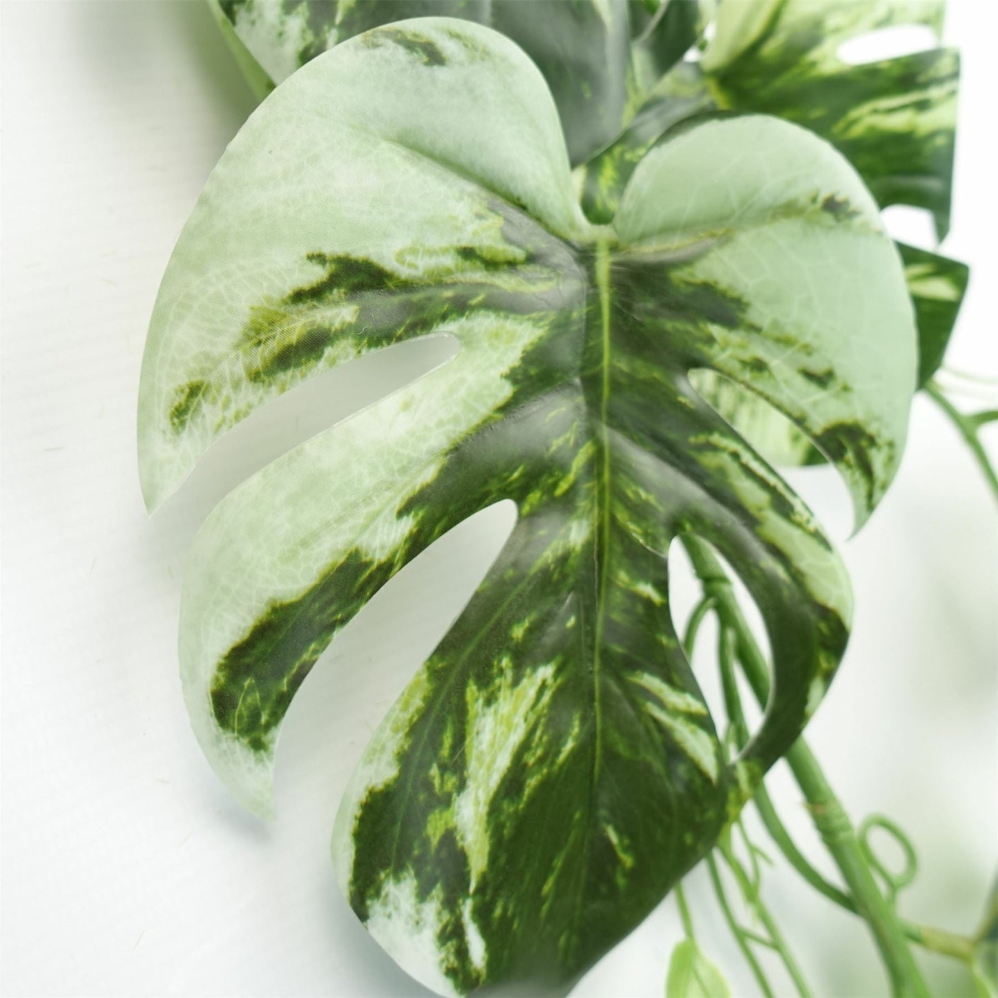 Lifelike 180cm Variegated Monstera Trailing Plant – Perfect for Stylish Decor! - plants - express.com