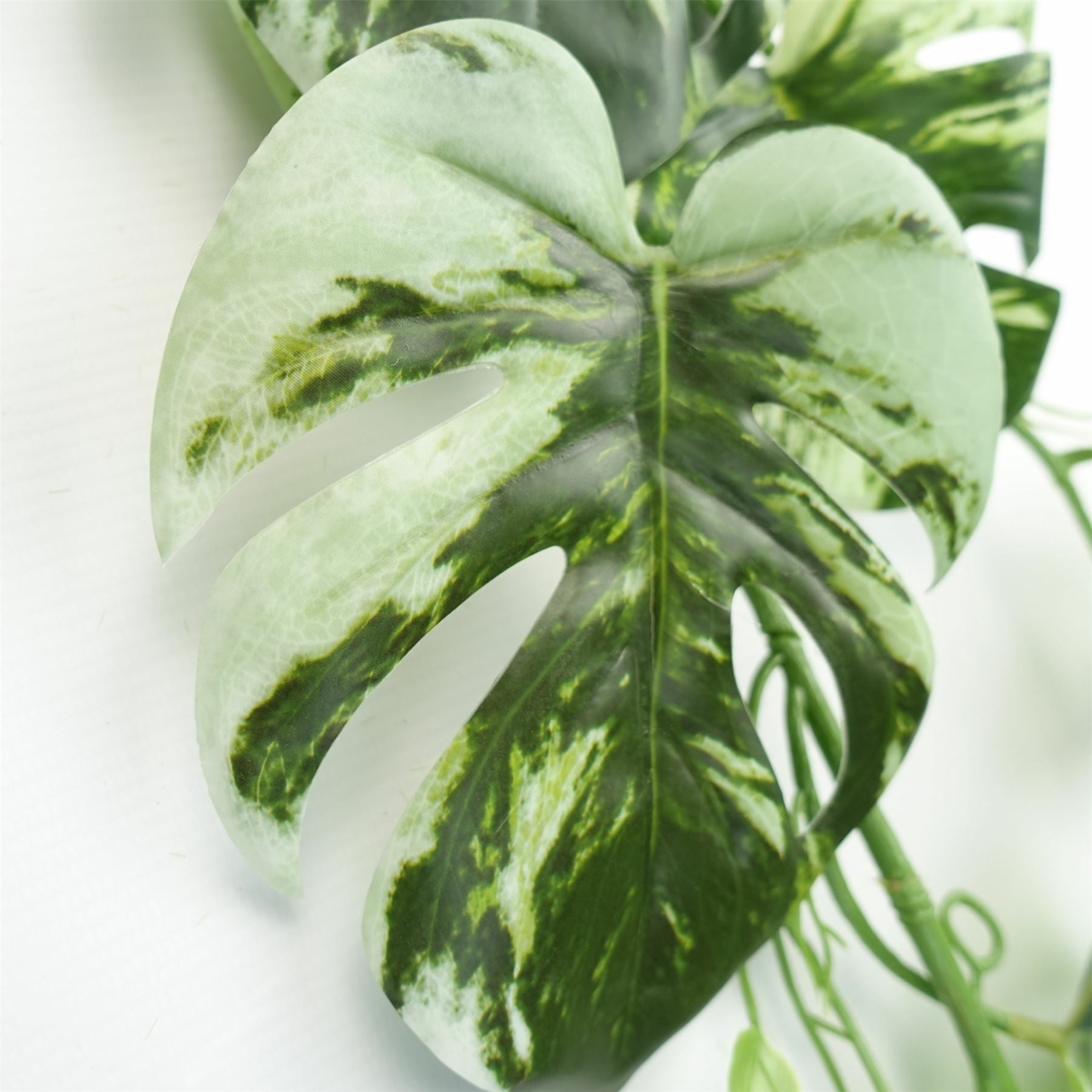 Lifelike 180cm Variegated Monstera Trailing Plant – Perfect for Stylish Decor! - plants - express.com