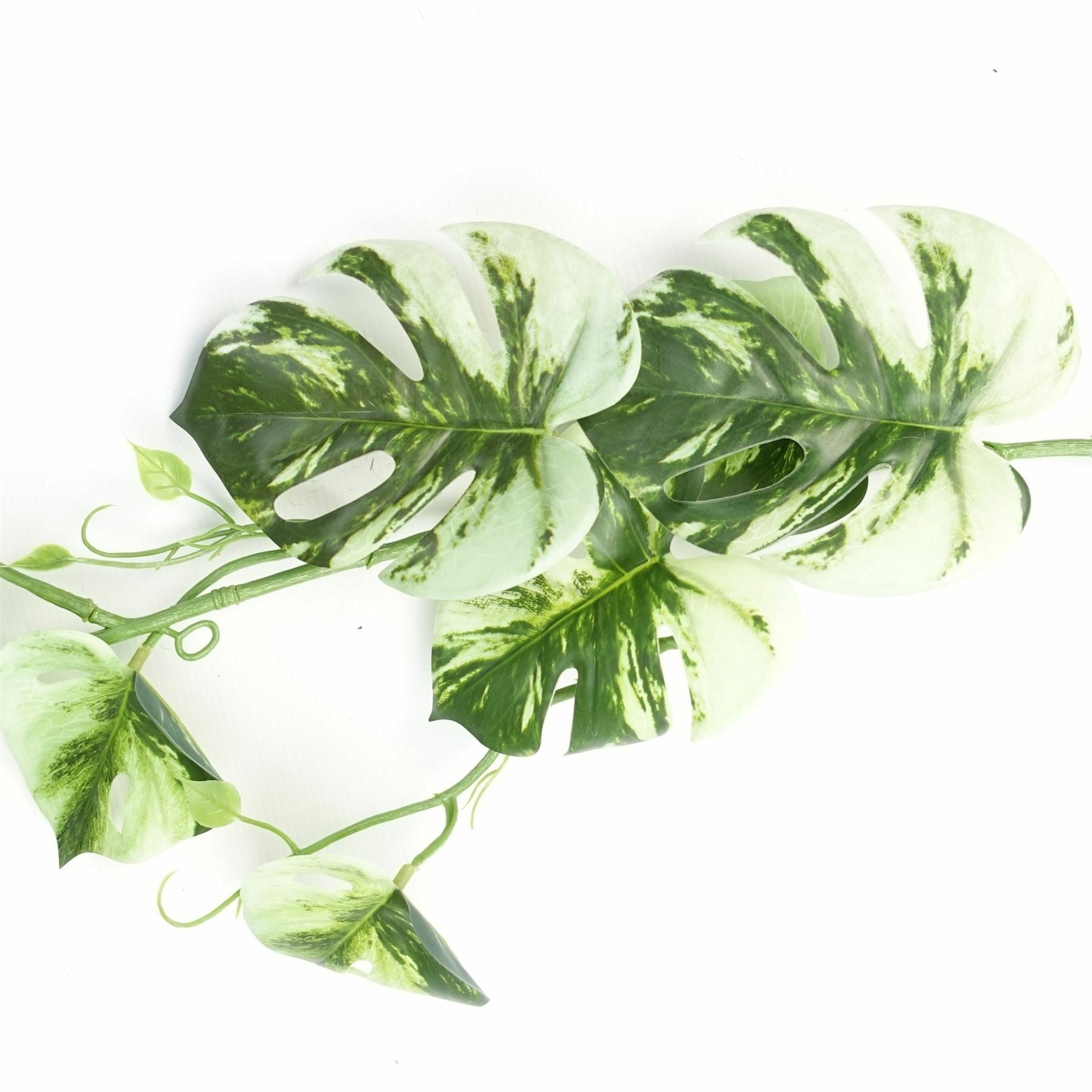 Lifelike 180cm Variegated Monstera Trailing Plant – Perfect for Stylish Decor! - plants - express.com