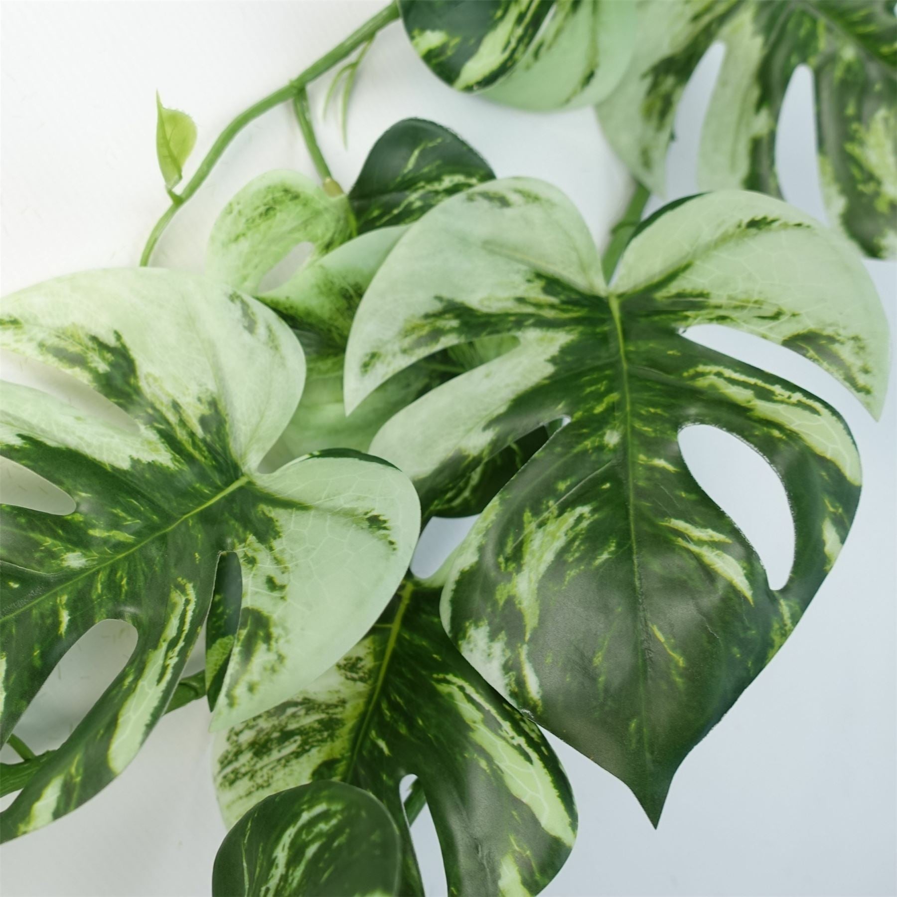 Lifelike 180cm Variegated Monstera Trailing Plant – Perfect for Stylish Decor! - plants - express.com