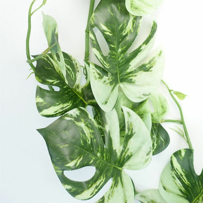 Lifelike 180cm Variegated Monstera Trailing Plant – Perfect for Stylish Decor! - plants - express.com