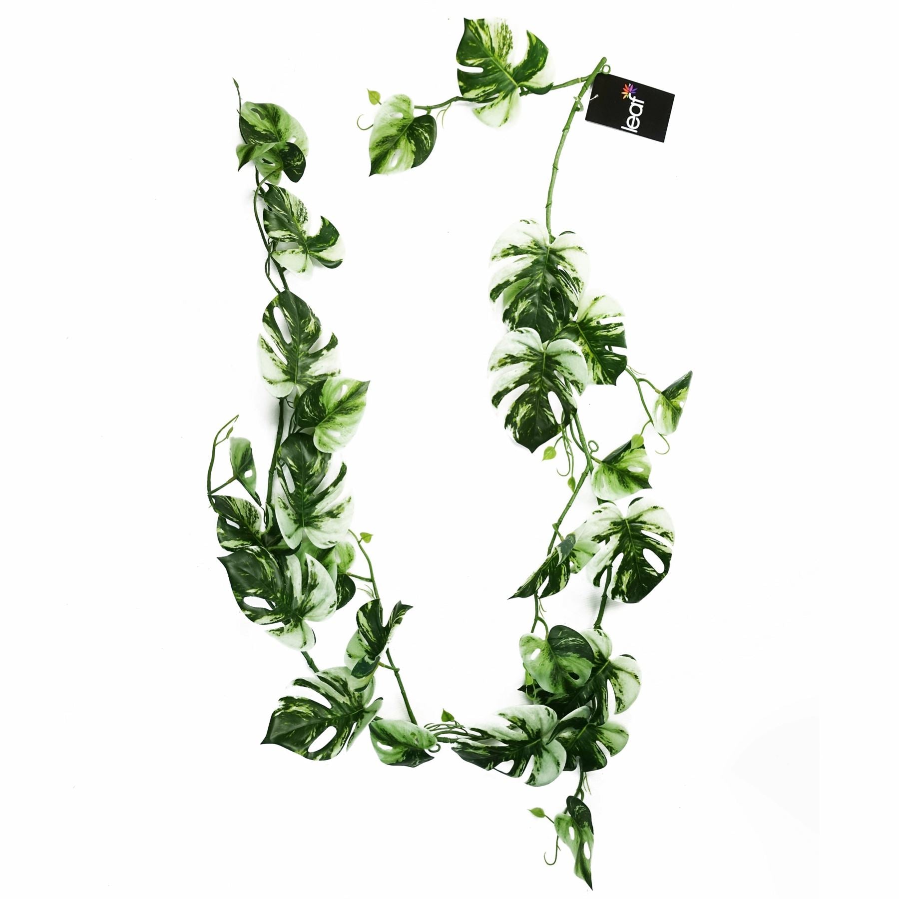 Lifelike 180cm Variegated Monstera Trailing Plant – Perfect for Stylish Decor! - plants - express.com
