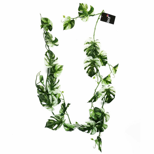 Lifelike 180cm Variegated Monstera Trailing Plant – Perfect for Stylish Decor! - plants - express.com